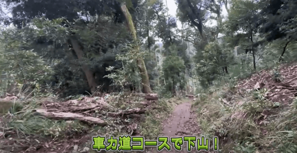 鋸山 登山 初心者